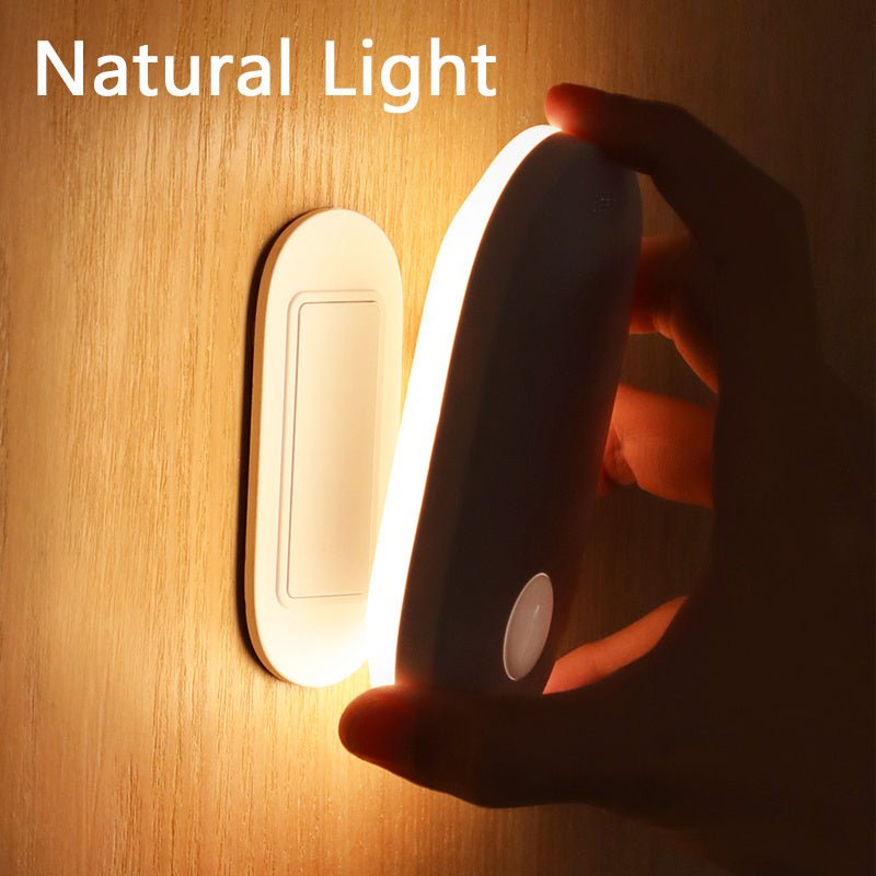 Human Induction Home Light - Zambeel