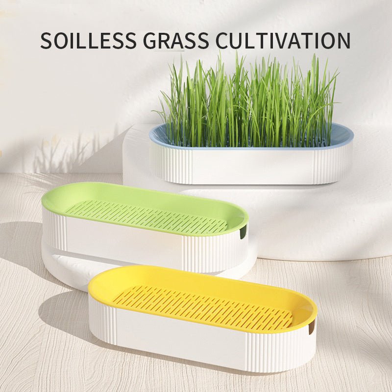 Hydroponic Cat Grass Box Plastic Tray Cat Grass Growing Kit Cat Grass Planter Hydroponic Cat Grass Box Cat Grass Sprouter Tray Interactive Cat Toy Window Planter Soilless For Pet Cat Plastic Plant Pot - Zambeel