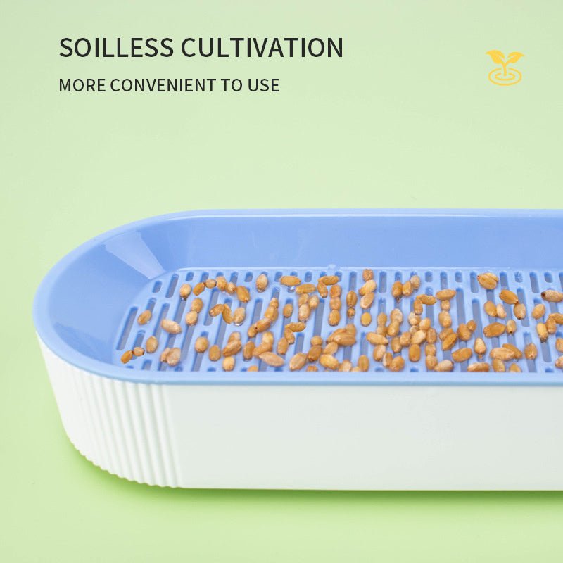 Hydroponic Cat Grass Box Plastic Tray Cat Grass Growing Kit Cat Grass Planter Hydroponic Cat Grass Box Cat Grass Sprouter Tray Interactive Cat Toy Window Planter Soilless For Pet Cat Plastic Plant Pot - Zambeel
