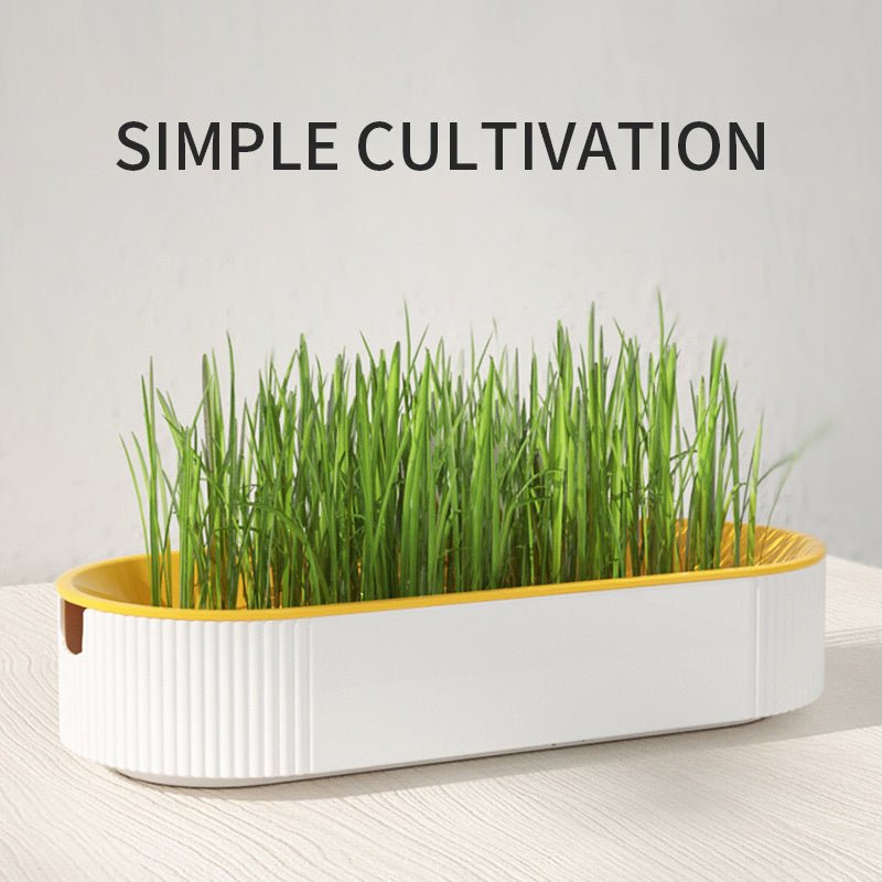 Hydroponic Cat Grass Box Plastic Tray Cat Grass Growing Kit Cat Grass Planter Hydroponic Cat Grass Box Cat Grass Sprouter Tray Interactive Cat Toy Window Planter Soilless For Pet Cat Plastic Plant Pot - Zambeel