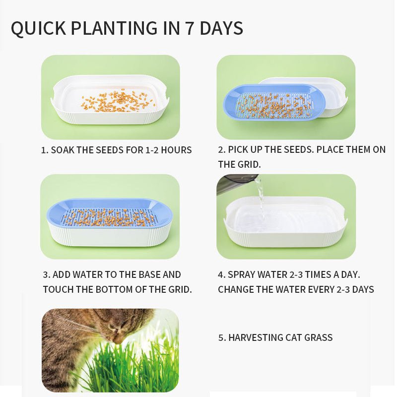 Hydroponic Cat Grass Box Plastic Tray Cat Grass Growing Kit Cat Grass Planter Hydroponic Cat Grass Box Cat Grass Sprouter Tray Interactive Cat Toy Window Planter Soilless For Pet Cat Plastic Plant Pot - Zambeel