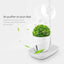 Intelligent Plant Growth Box with Table Lamp - Zambeel