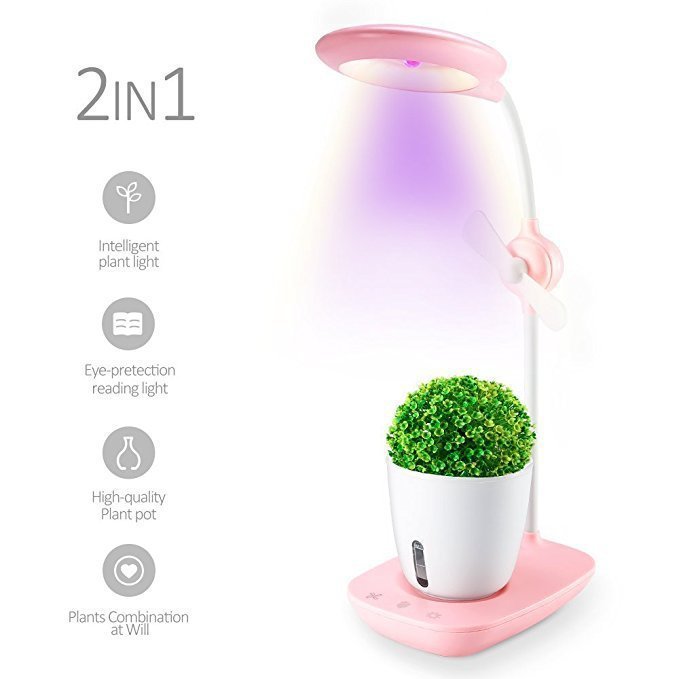Intelligent Plant Growth Box with Table Lamp - Zambeel