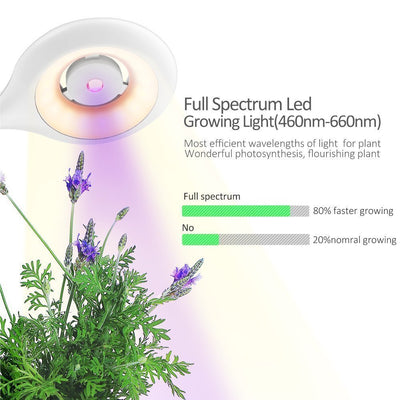 Intelligent Plant Growth Box with Table Lamp - Zambeel