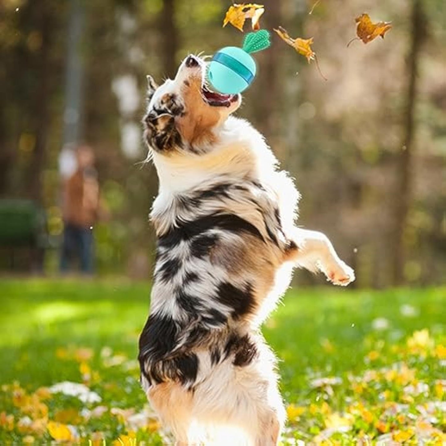 Interactive Treat Dispensing Dog Toys Different Functions Interactive Dog Puzzle Toys Balls For Medium Large Dogs Dog Treat Toys Dog Puzzle Toys Durable Rubber Dog Chew Toys - Zambeel