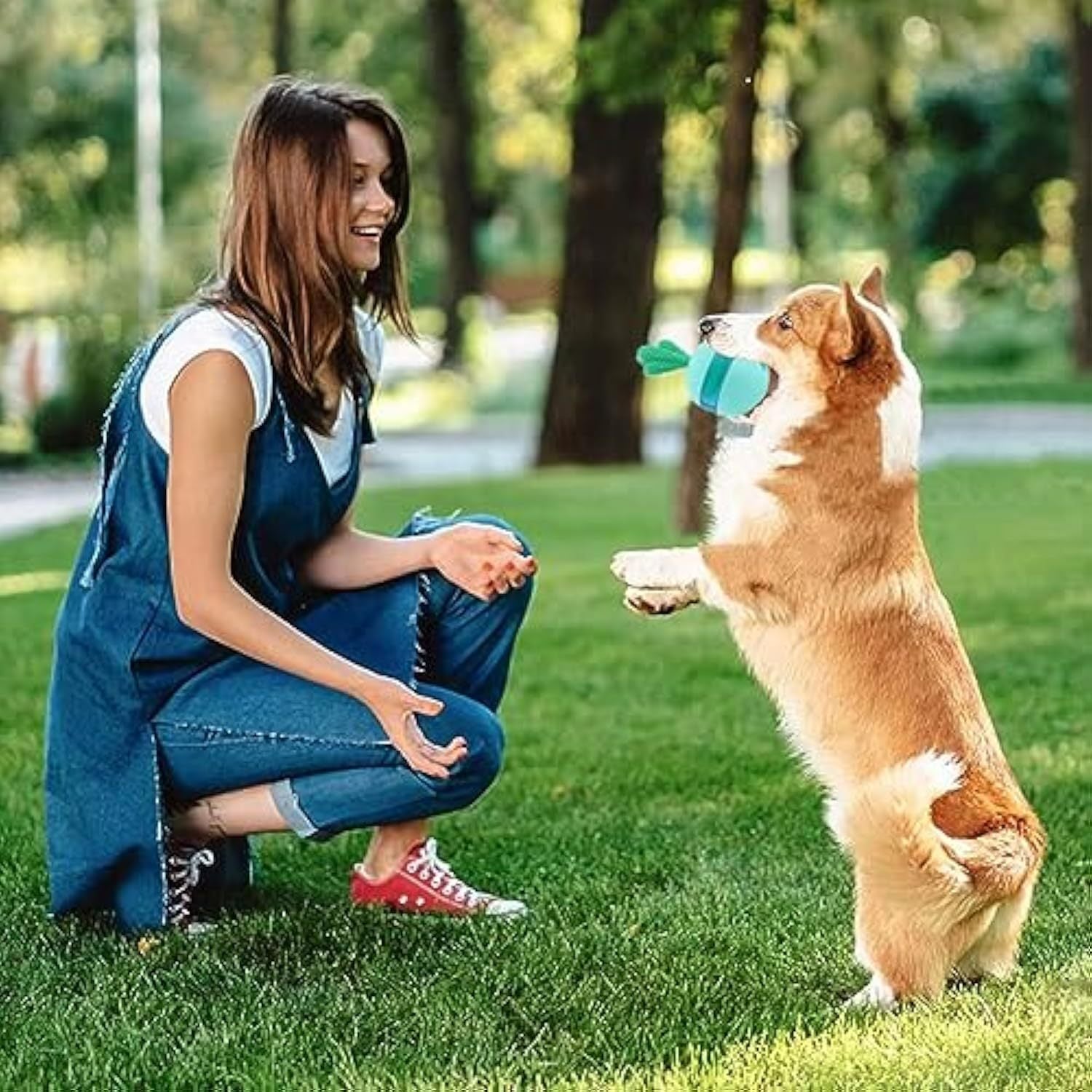 Interactive Treat Dispensing Dog Toys Different Functions Interactive Dog Puzzle Toys Balls For Medium Large Dogs Dog Treat Toys Dog Puzzle Toys Durable Rubber Dog Chew Toys - Zambeel