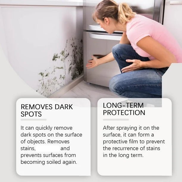 Jaysuin - Mould Removal Spray (Original) - Zambeel