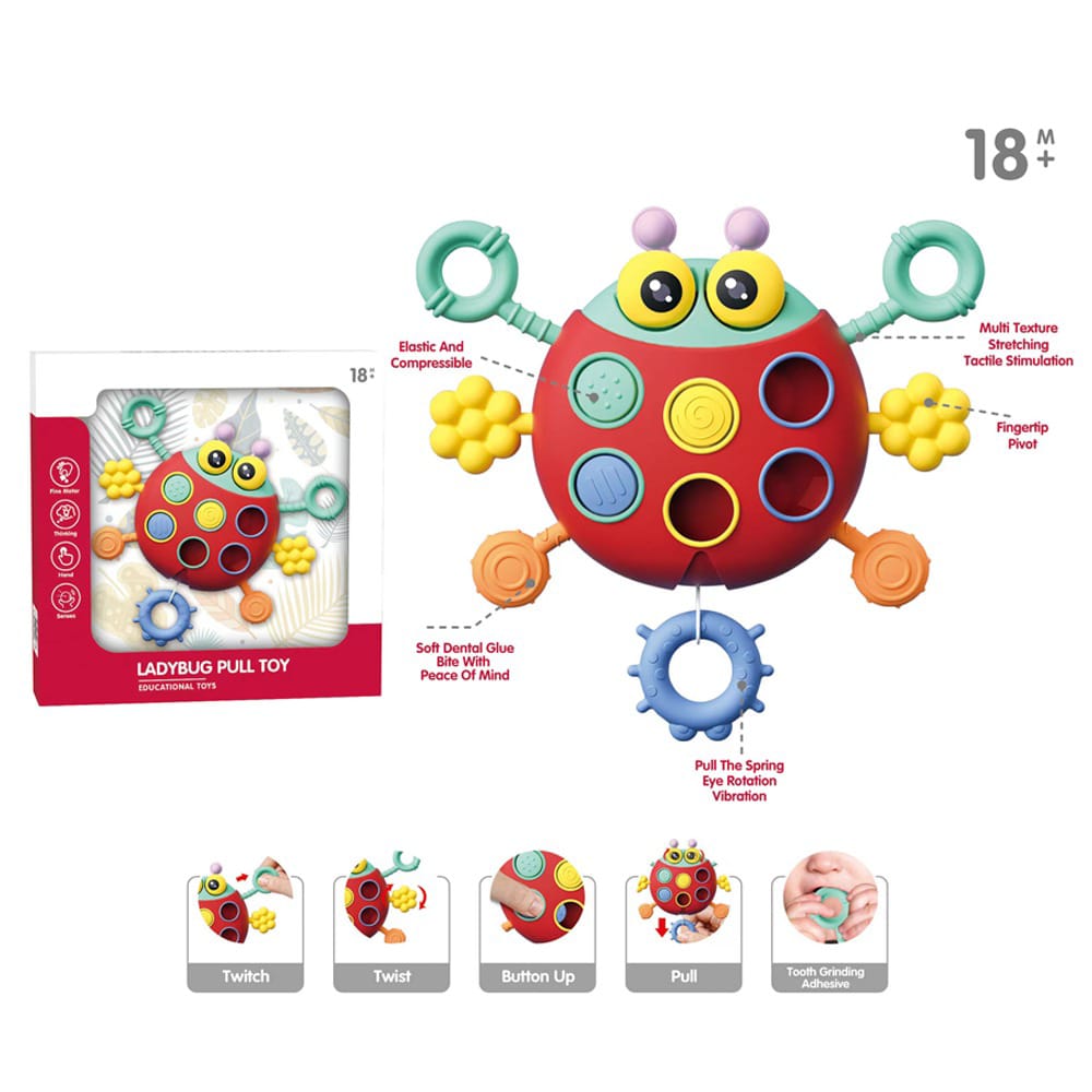 Ladybug Pull Toy - Zambeel