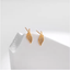 Leaf Shape Inlaid Earrings - Zambeel