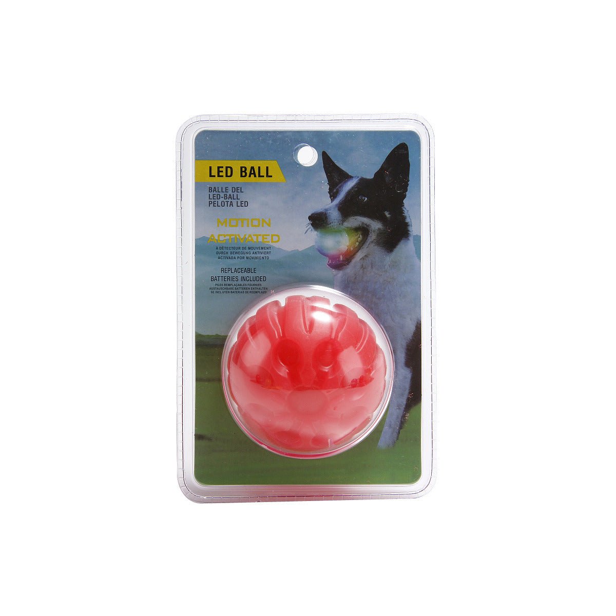 LED Glowing Pet Dog Biting Ball - Zambeel