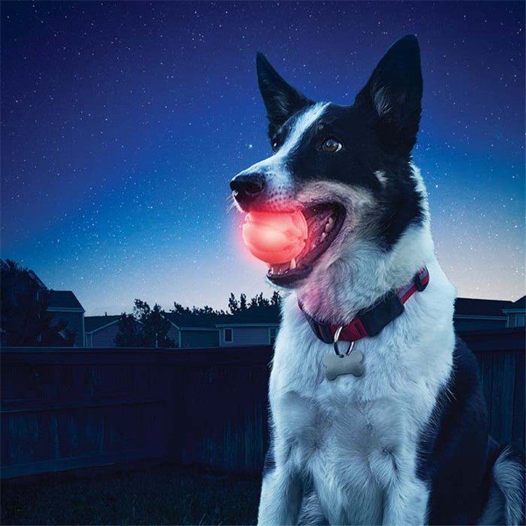 LED Glowing Pet Dog Biting Ball - Zambeel