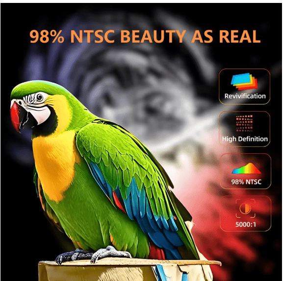 LED - Source Multimedia Projector © - Zambeel