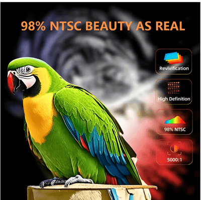 LED - Source Multimedia Projector © - Zambeel