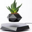 Levitating - Bonsai Planter Pot © - Zambeel