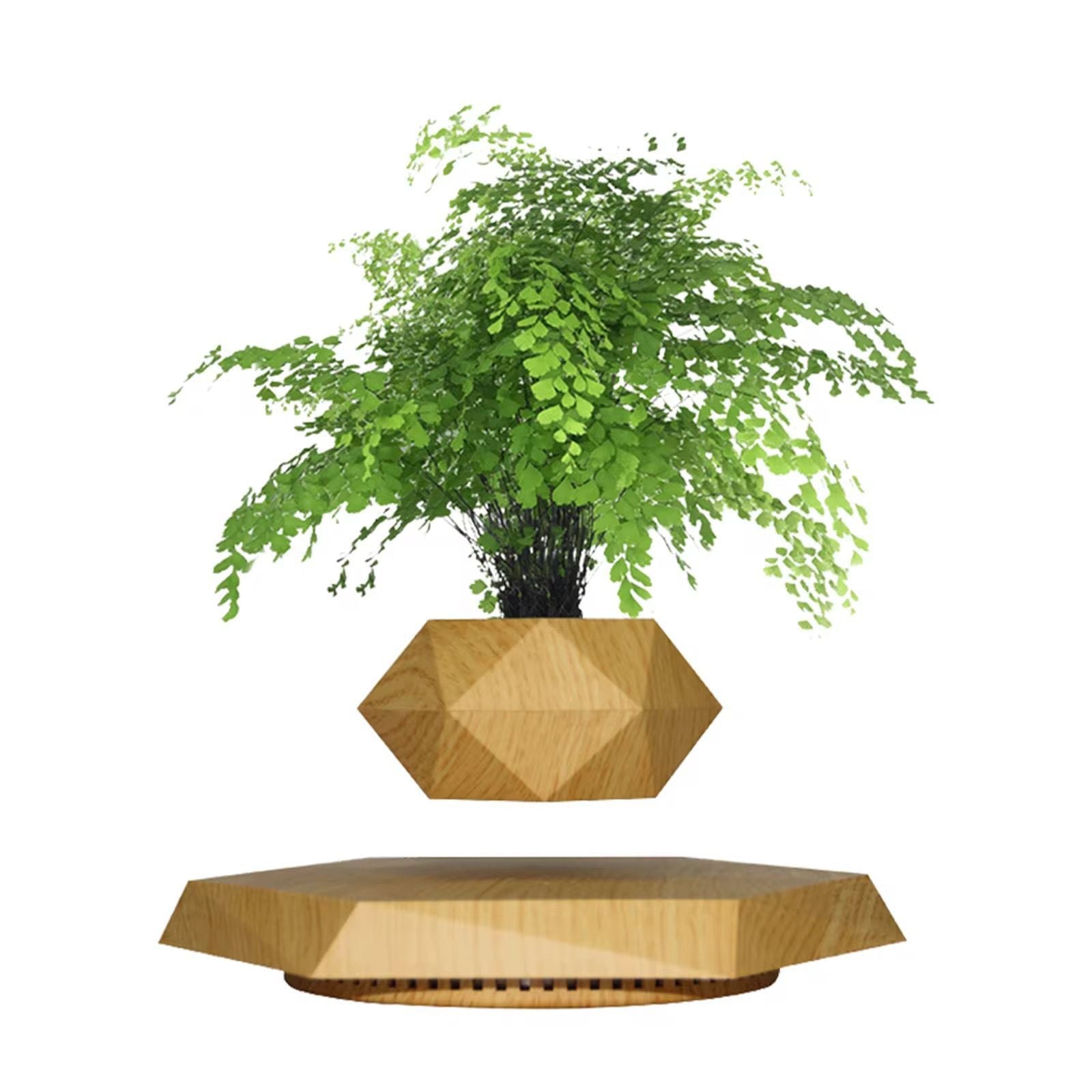 Levitating - Bonsai Planter Pot © - Zambeel