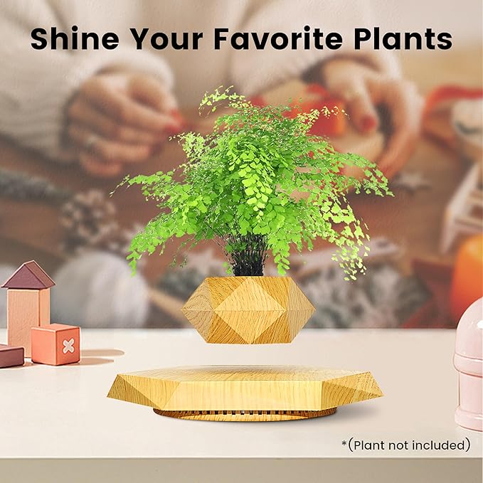 Levitating - Bonsai Planter Pot © - Zambeel