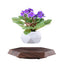 Levitating - Floating Flower Pot with Wood Base © - Zambeel