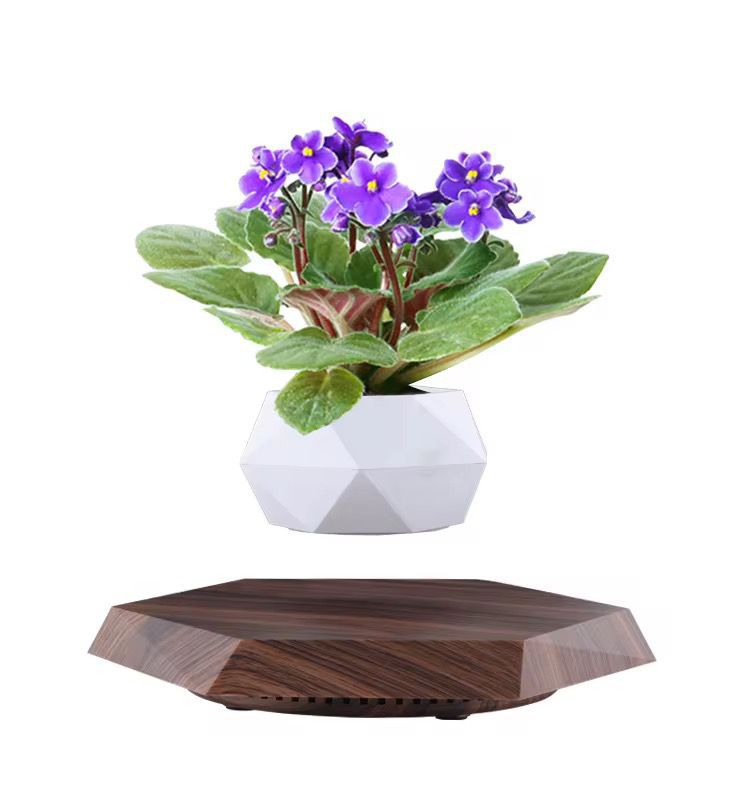 Levitating - Floating Flower Pot with Wood Base © - Zambeel