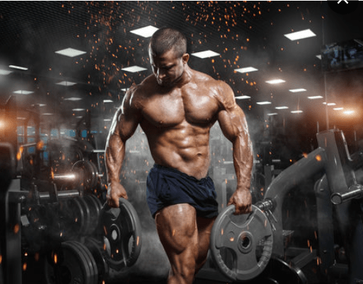 Magnum Quattro - 4 - Stage Protein Isolate (Original) © - Zambeel