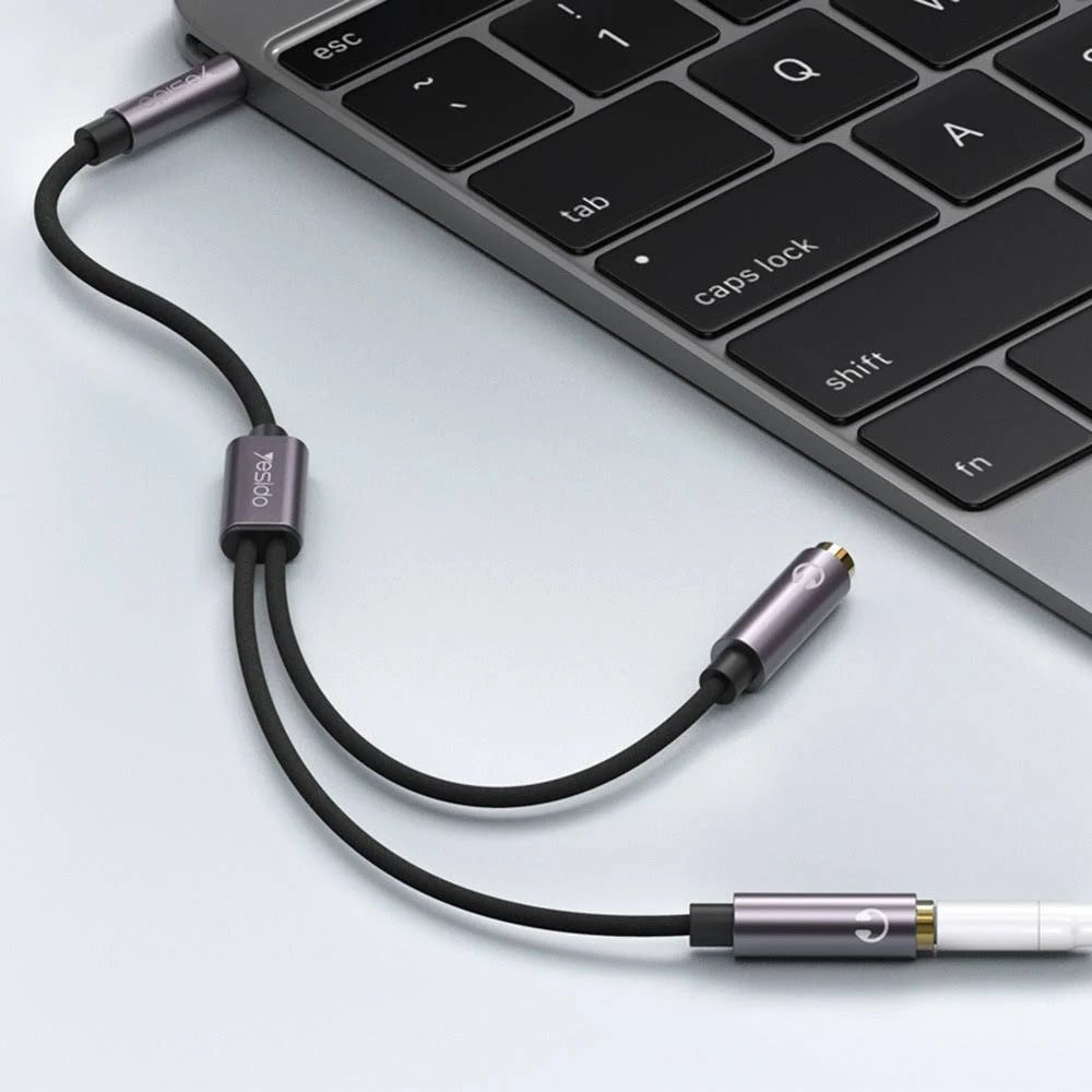 Male Jack To Female Port - Zambeel