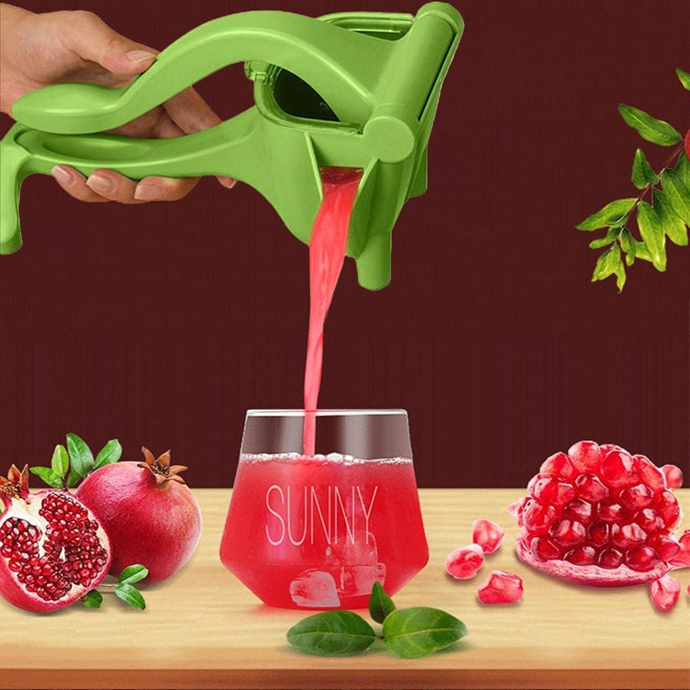 Manual Fruit Press - Zambeel