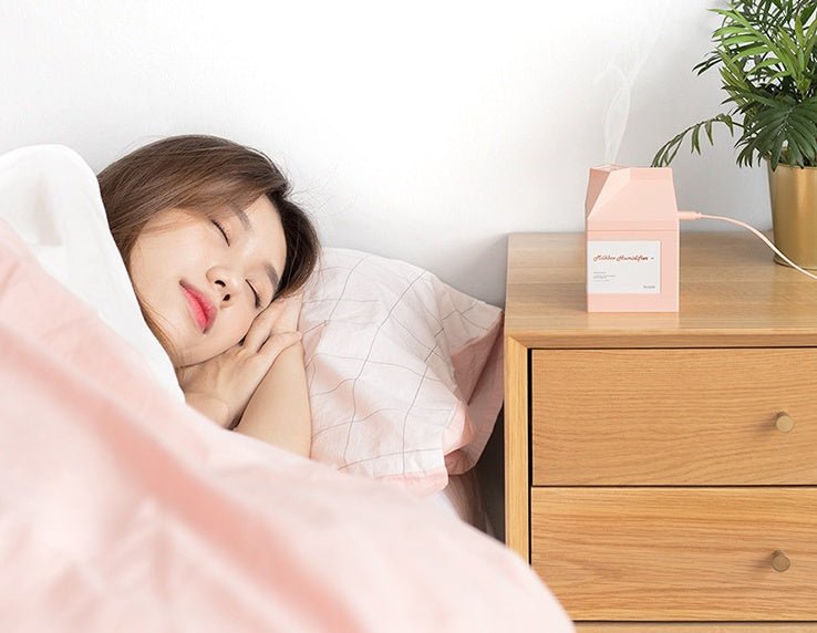 Milk Carton Humidifier - Zambeel