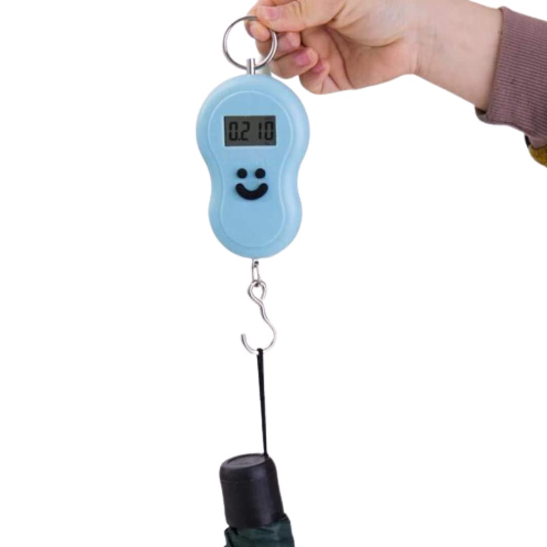 Mini Electronic Digital Scale - Zambeel