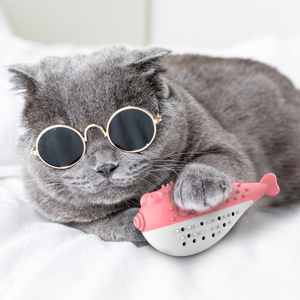 Mint Simulation Fish Cat Toothbrush Toy - Zambeel