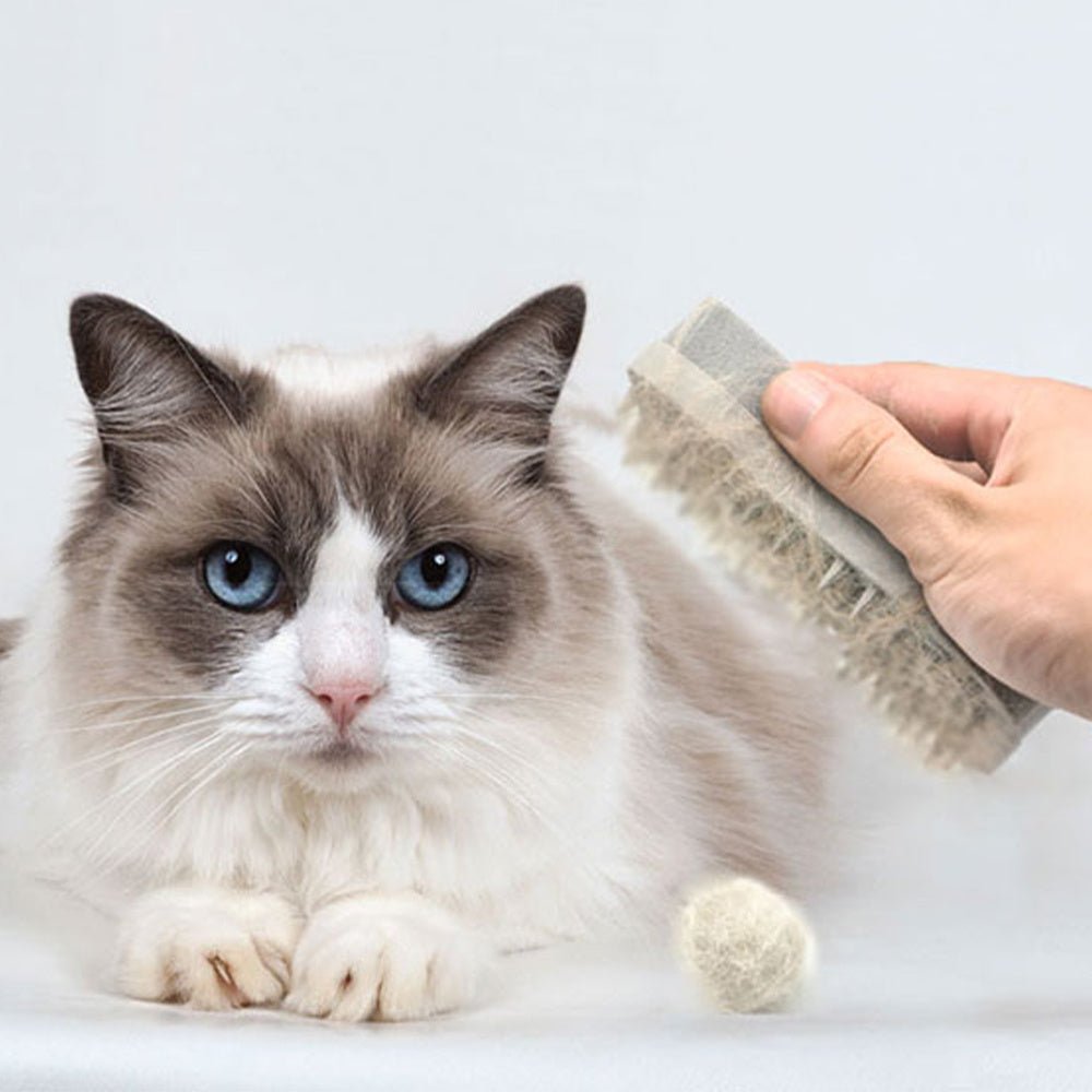 MOMI Pet Hair Remover Silicone Sponge Brush Hair Removal Brush Cat Comb Massage Brush Beautician Shower Comb - Zambeel