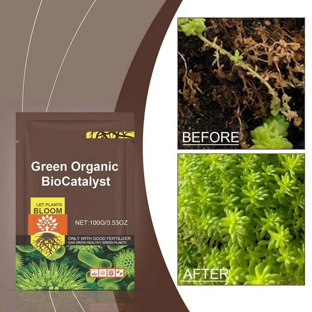 MoonSpry - Green Organic BioCatalyst - Zambeel