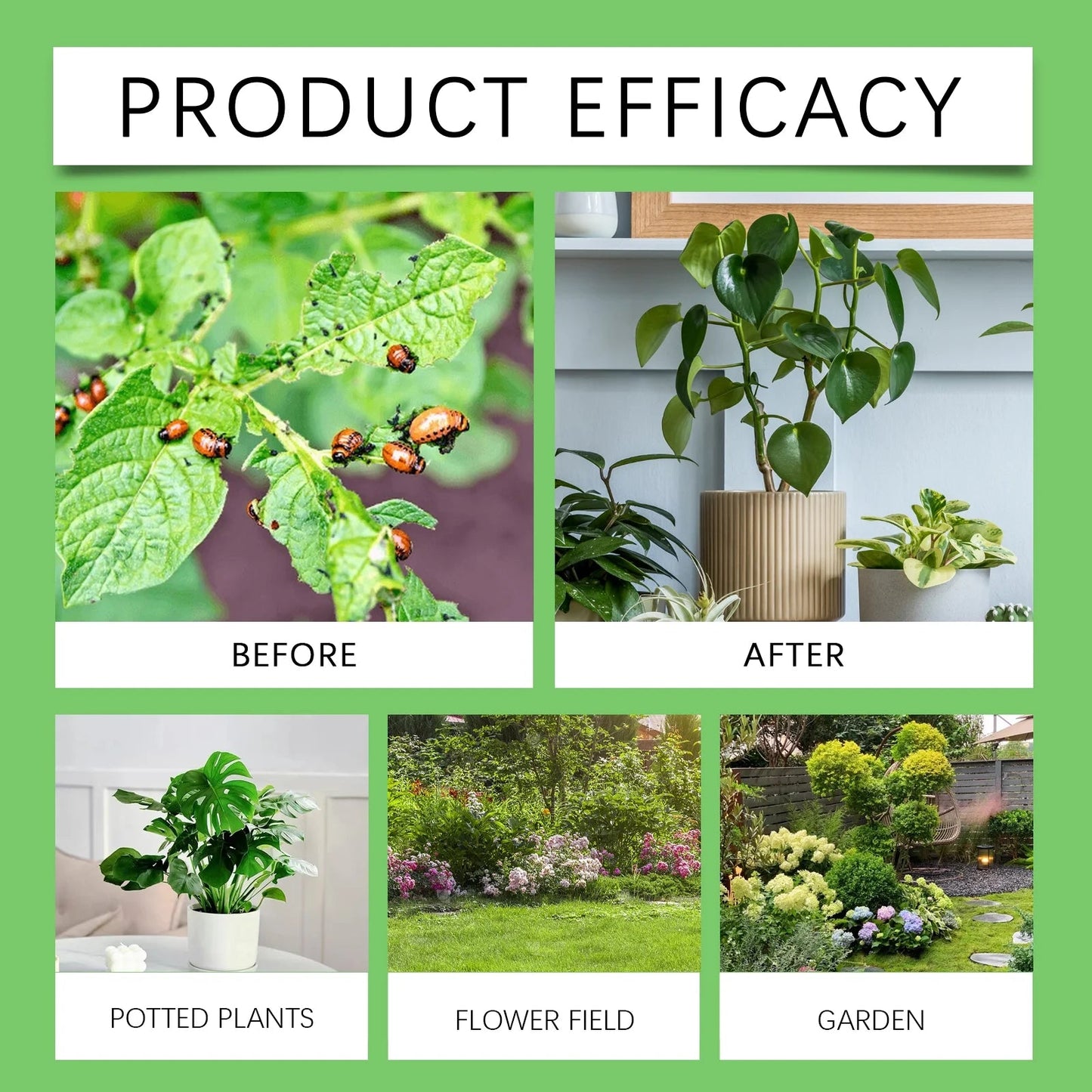 MoonSpry - Plant Pesticide - Zambeel