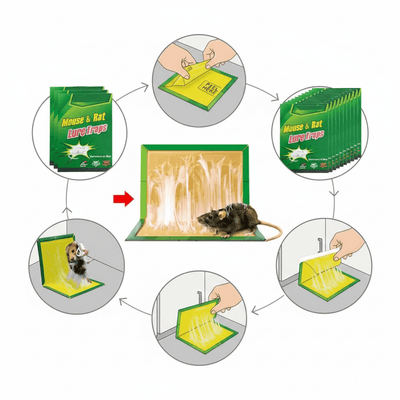 Mouse & Rat Lure Glue Traps - Zambeel