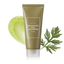 Mugwort Gel Cleanser (Original) - Zambeel