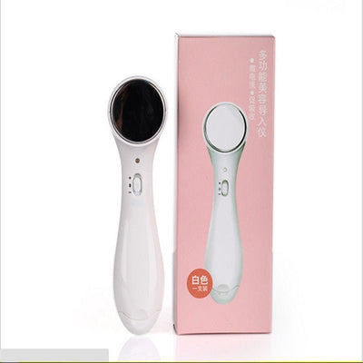 Multifunction Beauty Facial Massager - Zambeel