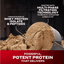 Muscletech - Nitro Tech Protein (Original) - Zambeel