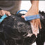 New Pet Bathing Tool Comfortable Massager Shower Tool Cleaning Washing Bath Sprayers Dog Brush Pet Supplies - Zambeel