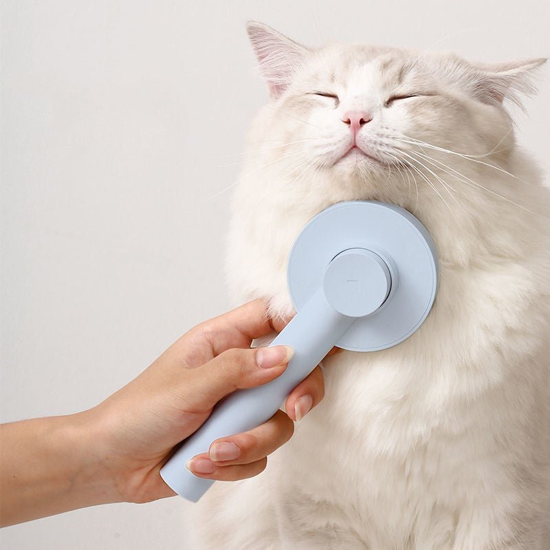 New Round Handle Pet Comb Sticky Bead Massage - Zambeel