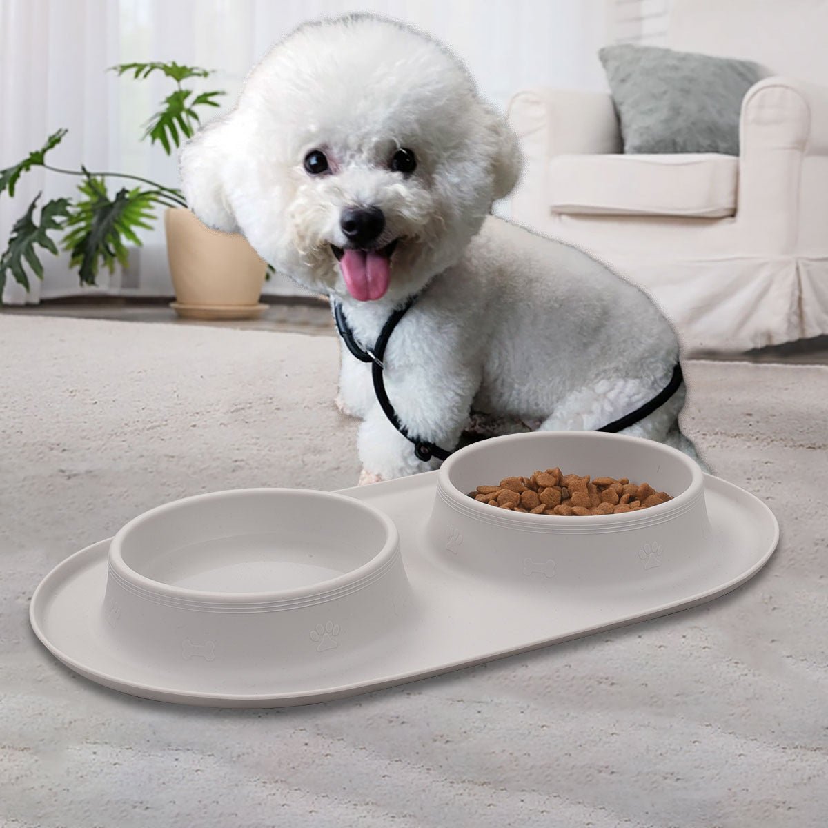 New Silicone Pet Feeding Bowl - Zambeel