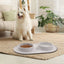 New Silicone Pet Feeding Bowl - Zambeel