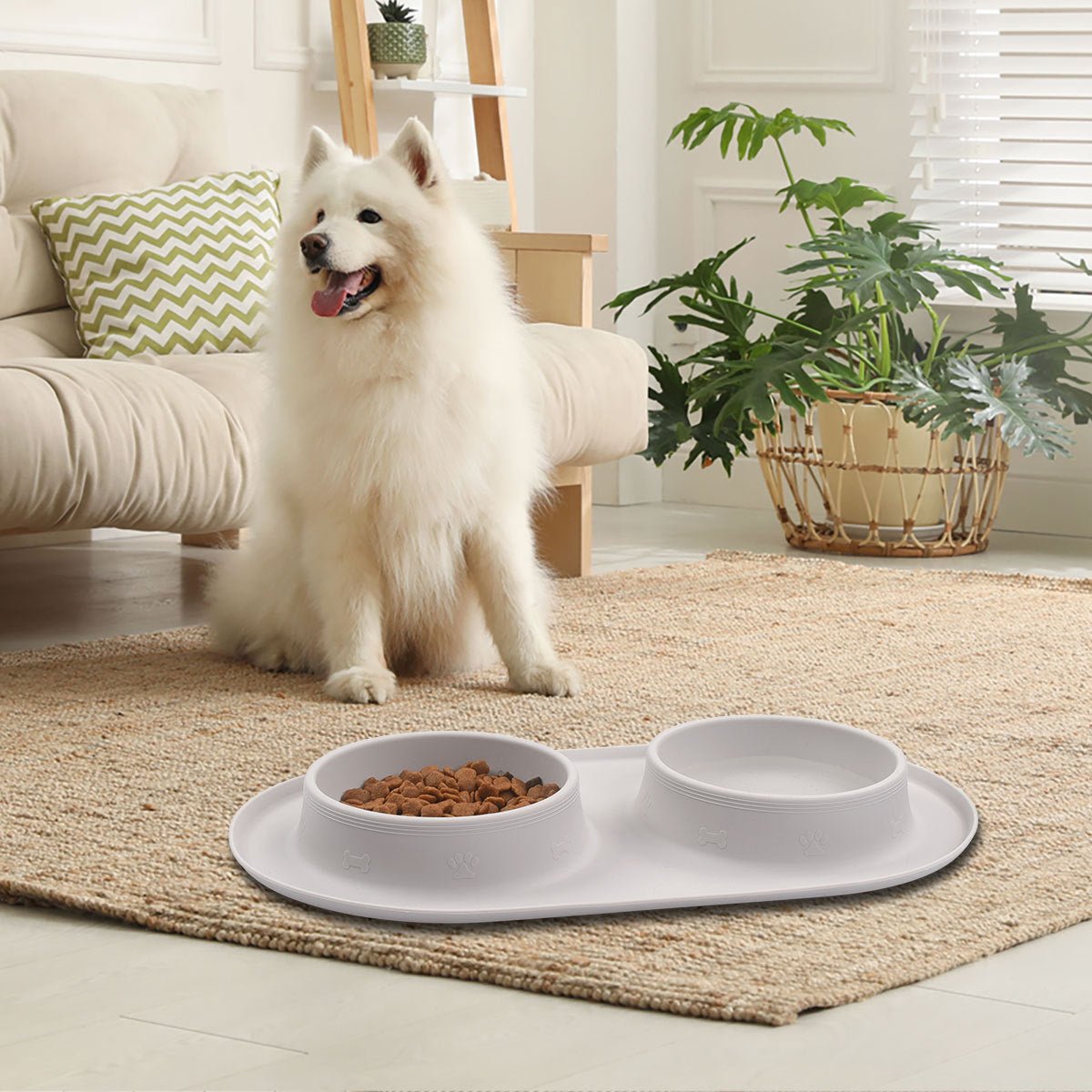 New Silicone Pet Feeding Bowl - Zambeel