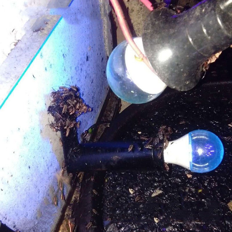 New Upgraded Indoor and Outdoor Insecticidal Lamp - Zambeel