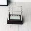 Newtons Cradle LED Light Up Kinetic Energy Home Office Science Toys Home Decor - Zambeel