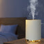 Night Light Humidifier Spray Diffuser Home Decor - Zambeel