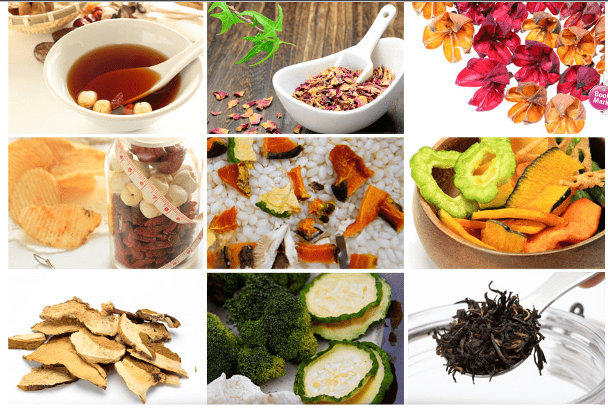 Nova - Food Dehydrator© - Zambeel