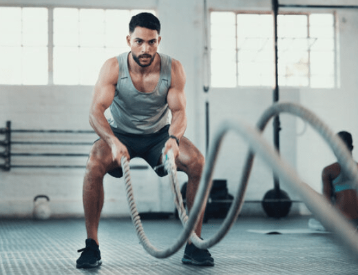 NPNutrition Premium – L - Carnitine (Original) - Zambeel