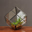 Oblique Square Small Glass Greenhouse Transparent Plant Flowerpot - Zambeel