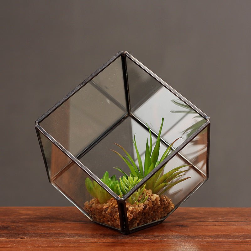 Oblique Square Small Glass Greenhouse Transparent Plant Flowerpot - Zambeel