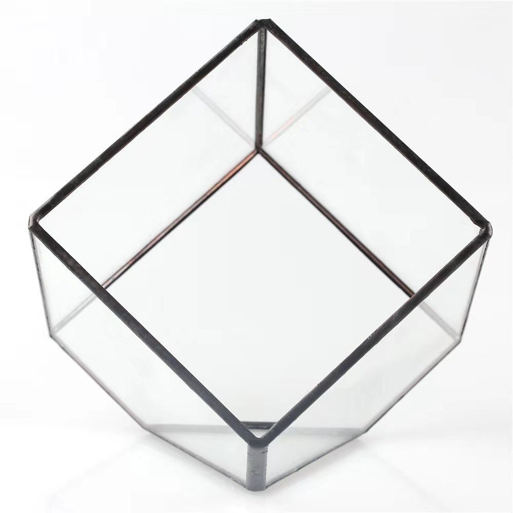 Oblique Square Small Glass Greenhouse Transparent Plant Flowerpot - Zambeel