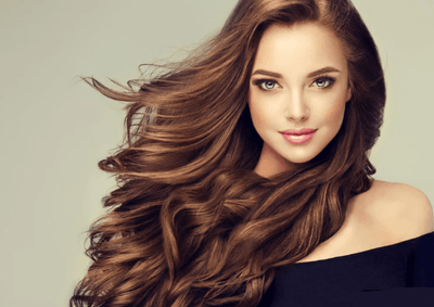 Olympia - Hair Dryer (OE - X9) - Zambeel