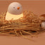 Pecking Rice Chicken Small Night Light Bedroom Bedside Lamp Charging - Zambeel